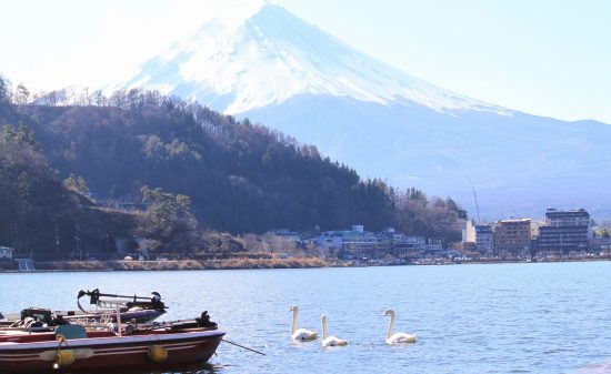 遊漁券 遊漁税 河口湖漁業協同組合ホームページ